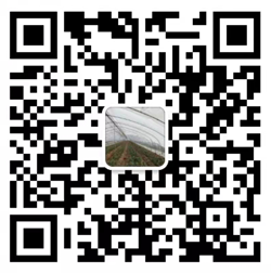 {dede:global.cfg_webname/}