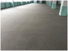 上海外高橋保稅區(qū)某路廠房樓板承載力專項檢測